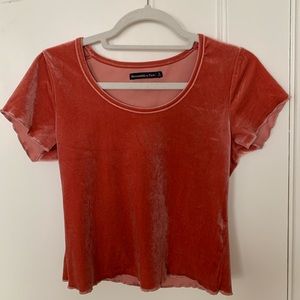 Velvet Abercrombie & Fitch Top